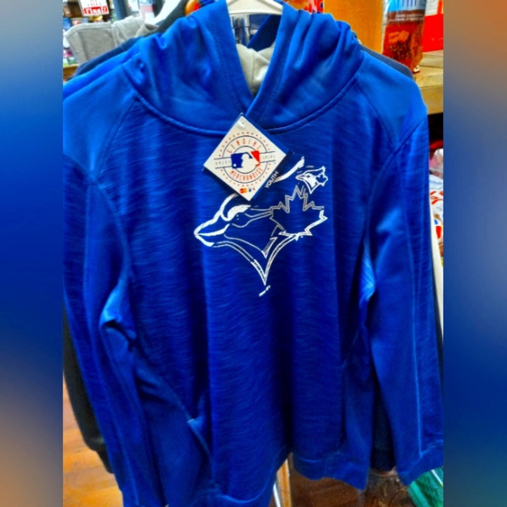 Toronto Blue Jays Pullover Hoodie - Royal Blue
